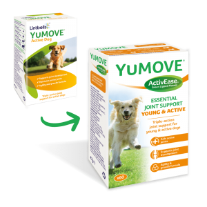 Lintbells YuMOVE® Active Dog Triple-action Joint Supplement for active dogs 60 Tablets 