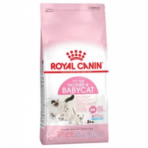 Royal Canin Kitten Dry Food - Mother & BabyCat 2kg