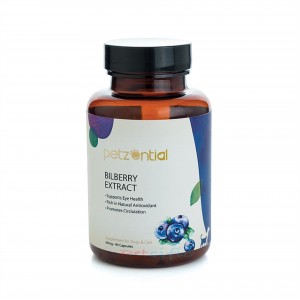 Petzential Bilberry Extract 60mg 90 Capsules