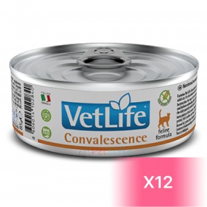 Vet Life Veterinary Diet Feline Canned Food - Convalescence 85g (12 Cans)