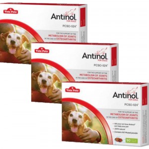 Vetz Petz Antinol Joint Supplement for Dogs 270 Soft Gel Capsules (90 Capsules x 3 Boxes)