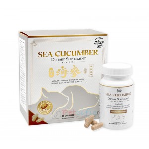 Petrum360 Sea Cucumber Dietary Supplement For Pets 30 Capsules 
