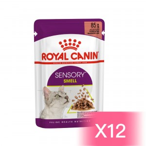 Royal Canin Adult Cat Pouch - Sensory Smell 85g (12 pouches)
