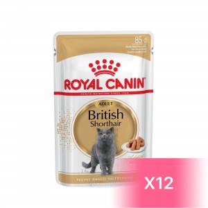 Royal Canin Adult Cat Pouch - British Shorthair 85g (12 pouches)