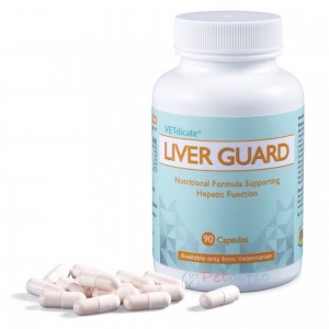 VETdicate Liver Guard 90 Capsules